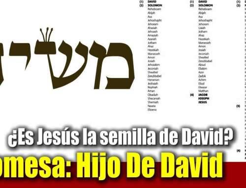 🌟 Promesa: Hijo De David ¿Por qué Jesús no puede ser el Mesías?